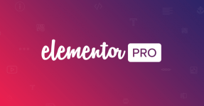Elementor Pro - The Most Advanced Website Builder Plugin.png